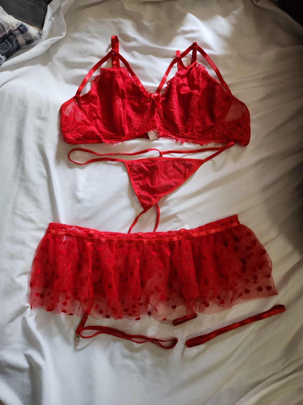 SHEIN Red Lace Bra, G-String & Heart-Print Tulle Mini Skirt Set